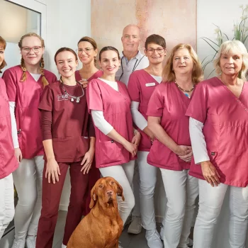 Zahnarztpraxis Dr. Thedieck - Teambild